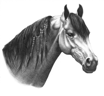 ARABIAN HORSE