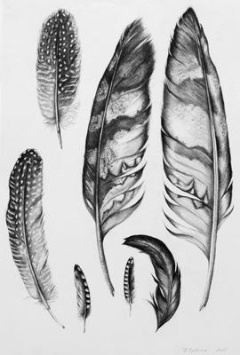 FEATHERS